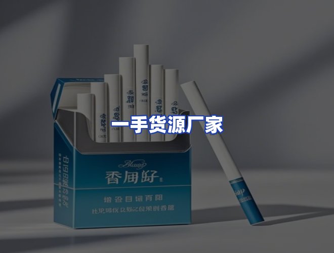 专业团队